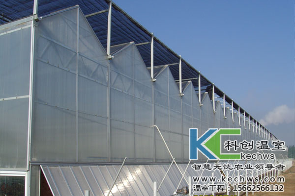 無土栽培，無土栽培技術(shù)，無土栽培設(shè)備