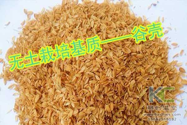 無(wú)土栽培，無(wú)土栽培技術(shù)