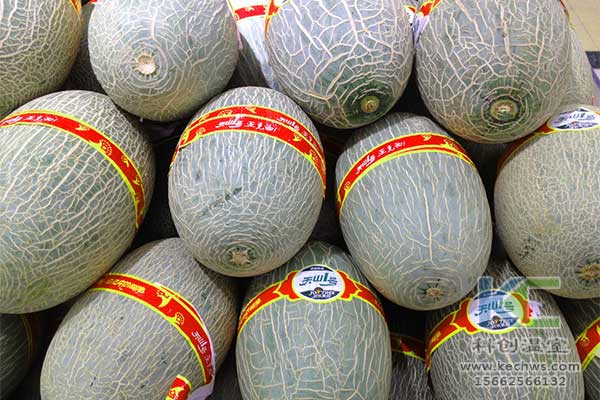 無土栽培，無土栽培技術(shù)，無土栽培設(shè)備
