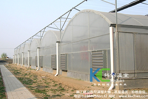 無土栽培，無土栽培技術(shù)，無土栽培設(shè)備