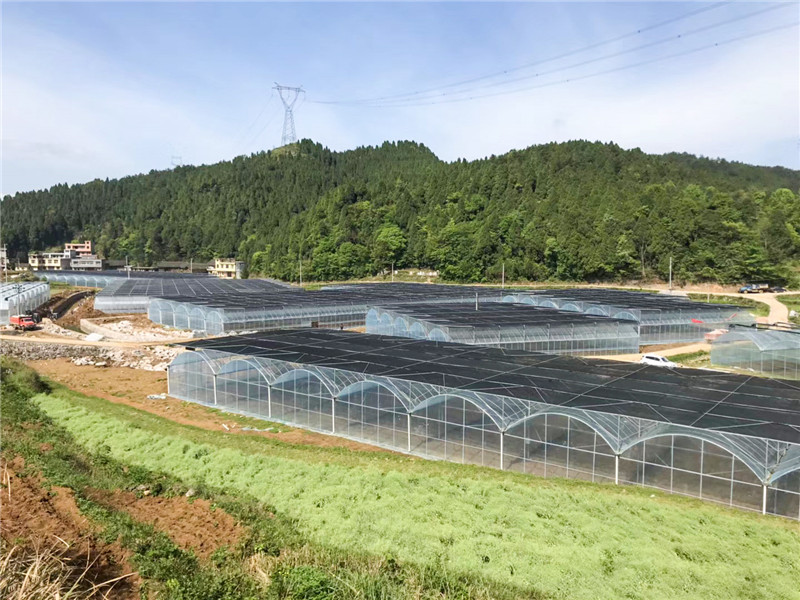 無土栽培，無土栽培技術(shù)，無土栽培設(shè)備
