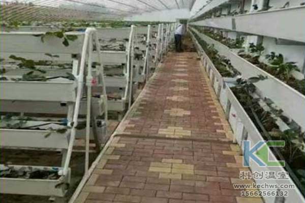 無土栽培，無土栽培技術(shù)，無土栽培設(shè)備
