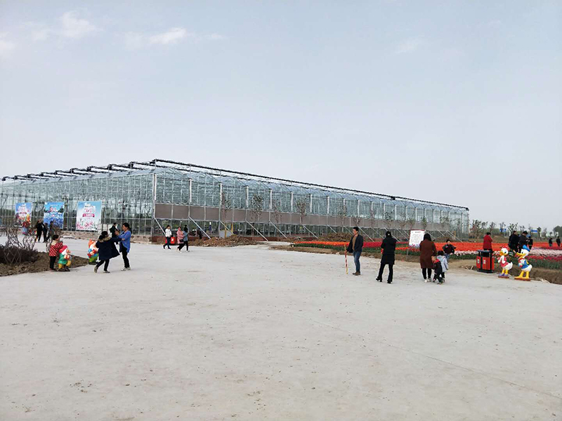 無土栽培，無土栽培技術(shù)，無土栽培設(shè)備