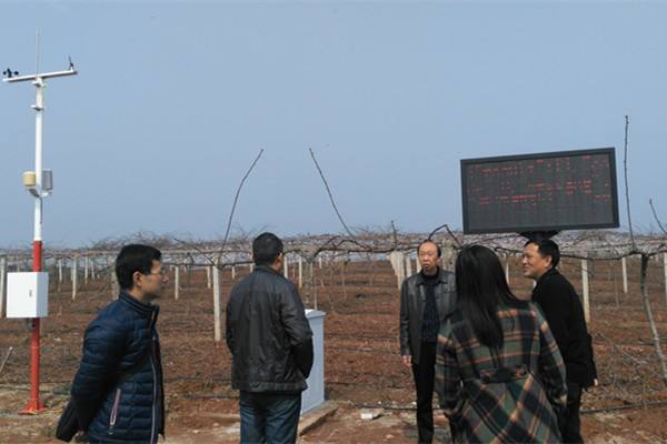 無土栽培，無土栽培技術(shù)，無土栽培設(shè)備