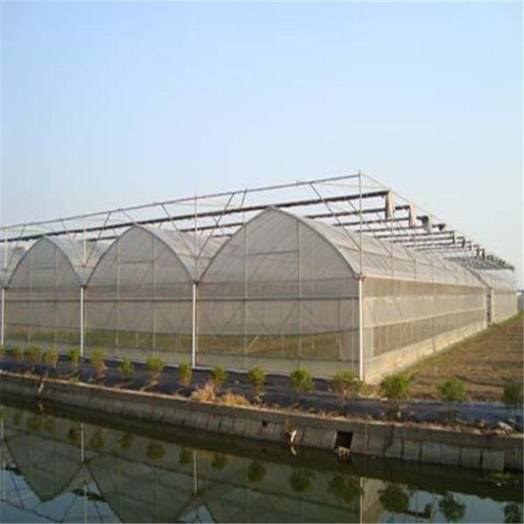 無土栽培，無土栽培技術(shù)，無土栽培設(shè)備