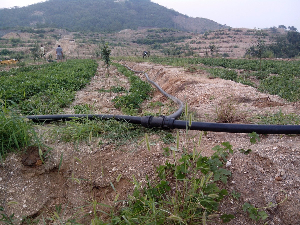 無土栽培，無土栽培技術(shù)，無土栽培設(shè)備